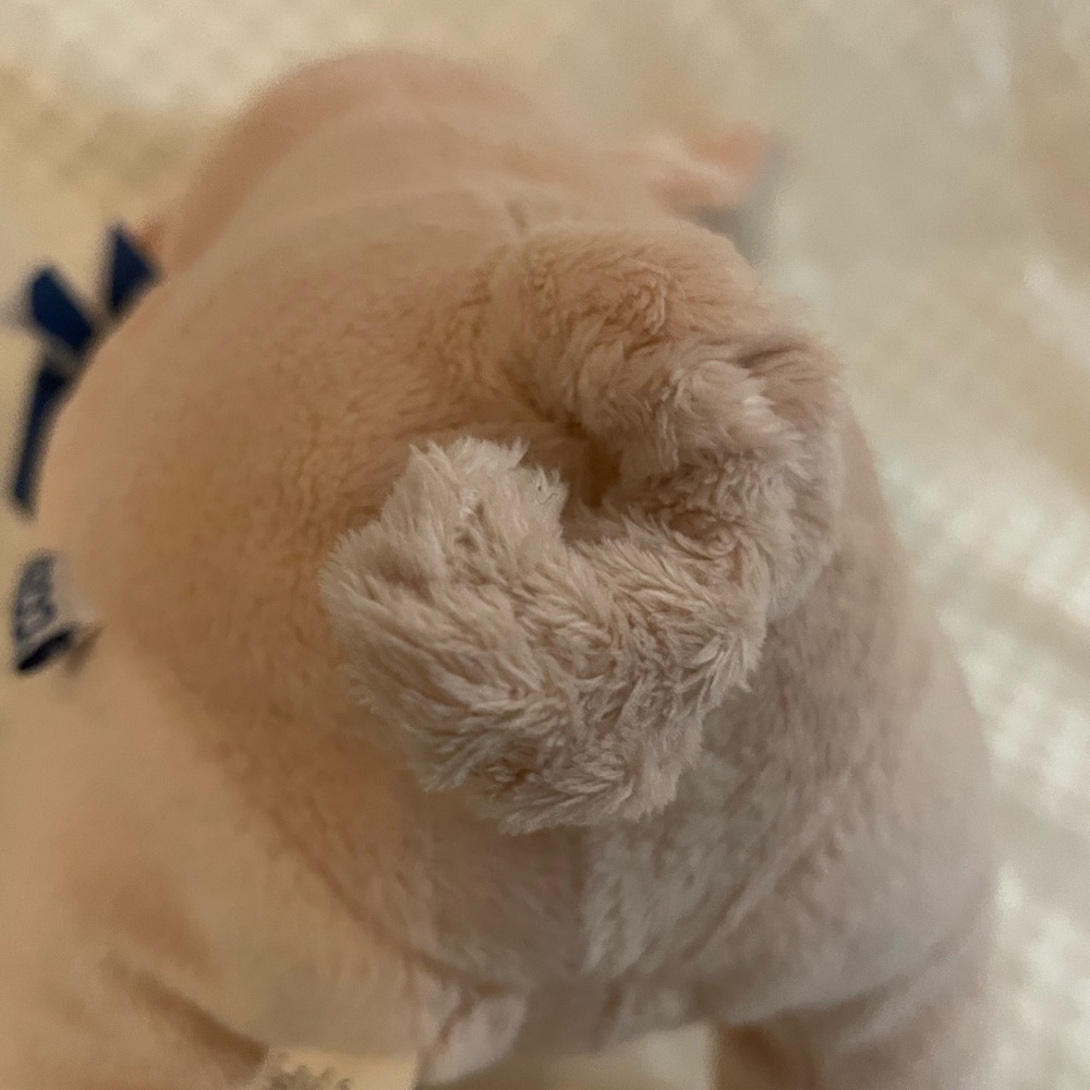 Geico’s Maxwell Pig - Picture 7 of 9